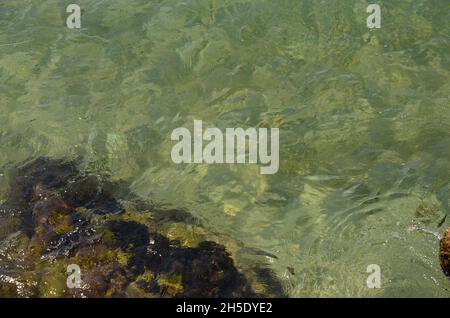 Einige Fotos aus dem schönen, hellen Meer rund um die Insel Ortigia, in Syrakus, alte griechische Kolonie, während einer Sommerreise nach Sizilien aufgenommen. Stockfoto