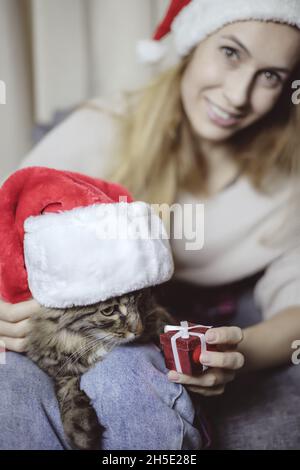 Eine gestromte Santa-Katze schaut auf ein Geschenk in den Händen der Gastgeberin, die auf ihrem Schoß sitzt. Mit Fokus auf das Hauptthema der Komposition. Konzentrieren Sie sich auf die Katze Stockfoto