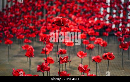 „Mohnblumen: Wave and Weeping Window“, ein neues Kunstwerk aus tausenden handgefertigten Keramikmohn, der sich 30 Meter nach unten stürzt und sich im Air Shard im IWM North in Manchester zusammenschürt. Die Mohnskulpturen waren ursprünglich Teil von 'Blood Sweeped Lands and Seas of Red' im Tower of London im Jahr 2014 und später von 'Poppies: Wave and Weeping Window', das zwischen 2014 und 2018 durch Großbritannien tourte. Bilddatum: Dienstag, 9. November 2021. Stockfoto