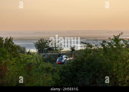 Helikopter, der zwischen den Bäumen abfliegt, vor dem Hintergrund der nebligen Baie de Somme am frühen Morgen. Saint-Valery, Somme-Bucht, Frankreich Stockfoto