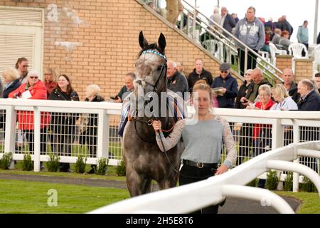 Geschmack der Atmosphäre und Nervenkitzel eines Tages bei den Rennen mit der Menge und den Pferden Stockfoto