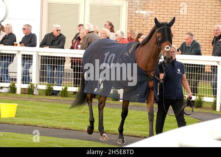 Geschmack der Atmosphäre und Nervenkitzel eines Tages bei den Rennen mit der Menge und den Pferden Stockfoto
