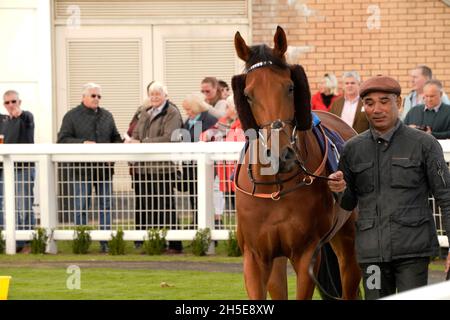Geschmack der Atmosphäre und Nervenkitzel eines Tages bei den Rennen mit der Menge und den Pferden Stockfoto