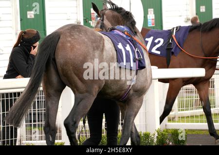 Geschmack der Atmosphäre und Nervenkitzel eines Tages bei den Rennen mit der Menge und den Pferden Stockfoto