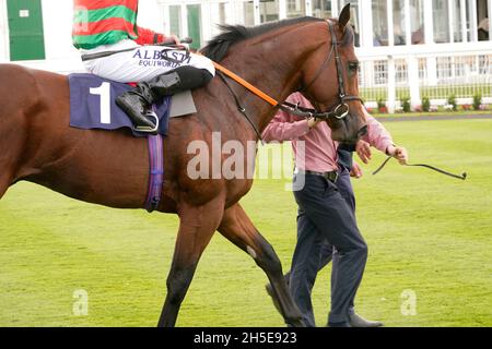 Geschmack der Atmosphäre und Nervenkitzel eines Tages bei den Rennen mit der Menge und den Pferden Stockfoto