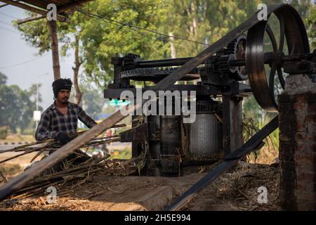 Roorkee, uttarakhand, Indien- Nov 7 2021: Ein Arbeiter setzt Zuckerrohr in eine Brechmaschine, um während der Produktion von Jaggery bei einem Jagger Saft zu gewinnen Stockfoto