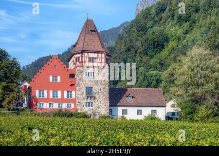 Schloss Vaduz, Vaduz, Oberland, Liechtenstein, Europa Stockfoto