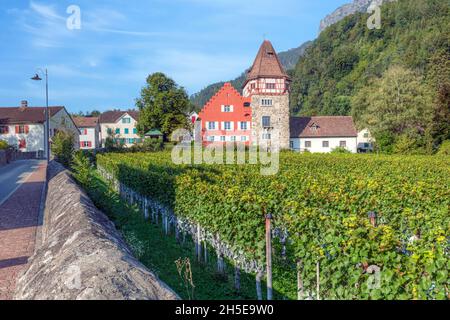 Schloss Vaduz, Vaduz, Oberland, Liechtenstein, Europa Stockfoto