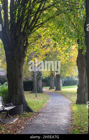 Tewkesbury ist eine kleine Stadt am Fluss Avon in Gloucestershire, Großbritannien. Herbst im Park. Stockfoto