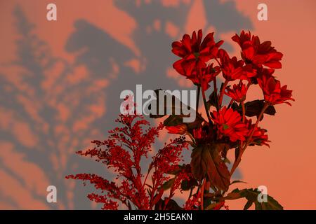 Elektrische Sunset-Lampe für stimmungsvolle, warmgelbe Beleuchtung zu Hause. Stockfoto