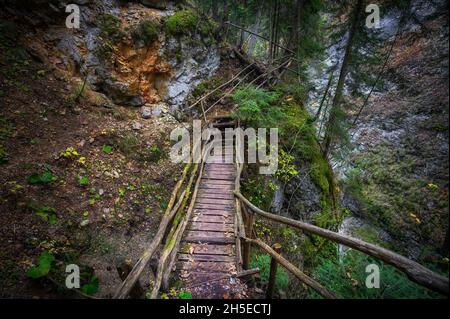 Teufelsweg - malerischer Öko-Pfad und Wanderweg in den Rhodopen, Bulgarien. Holzbrücke im Herbst Stockfoto