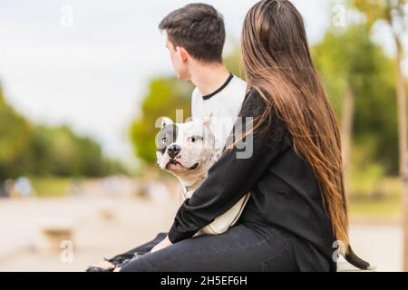 Hund dreht sich zur Kamera, während er mitten in zwei Menschen im Freien sitzt Stockfoto