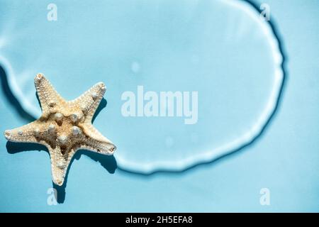 Einzelner weißer Seesterne mit Schatten und Wasser auf blauem Hintergrund, Draufsicht Stockfoto