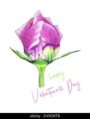 Happy valentine's day Pfingstrose Knospe und Schriftzug für alle Liebhaber, Handbleistift Zeichnung, Skizze, Postkarte, weißer Hintergrund. Vektorgrafik Stock Vektor