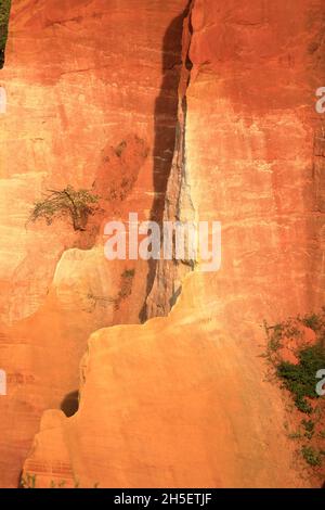 Die spektakuläre Ocker Steinbruch des Roussillon in Vaucluse in der Provence. Stockfoto