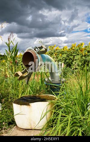 Pumpbewässerung für landwirtschaftliche Bewässerungssysteme für den Anbau von Sonnenblumen im Sommer. Stockfoto