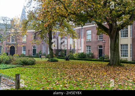 Hinterhof in Zutphen, Niederlande Stockfoto