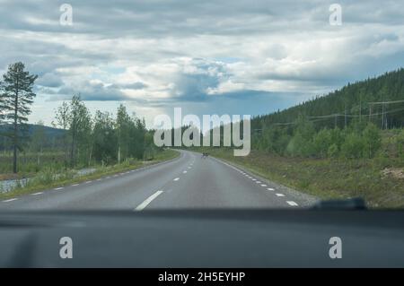 Blick aus dem Autofenster von Rentieren, die die Hauptstraße in Schwedisch Lappland überqueren. Sommer bewölkt Tag, Wald in Nordschweden. Stockfoto