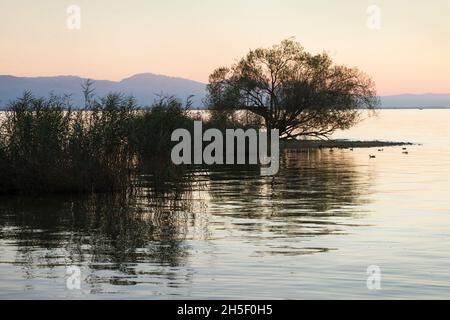 Kleine Insel bei Lindau im Bodensee bei Sonnenuntergang vor dem Alpenpanorama im Dreiländereck Deutschland, Österreich und Schweiz Stockfoto
