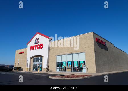 Bloomsburg, Usa. November 2021. Ein Petco-Laden ist in Bloomsburg, Pennsylvania, zu sehen. (Foto von Paul Weaver/SOPA Images/Sipa USA) Quelle: SIPA USA/Alamy Live News Stockfoto