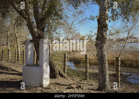 Die berühmte Eremitage von El Rocio in Spanien, die an einem sonnigen Tag durch Bäume vor blauem Himmel gesehen wird Stockfoto