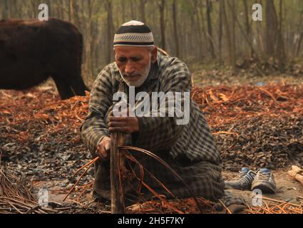 Srinagar, Jammu Und Kaschmir, Indien. November 2021. Am Stadtrand von Srinagar schälen Dorfbewohner aus Kaschmir die Haut von Korbstäben. Wicker wird für die Herstellung von traditionellen Feuerstellen namens kangri in kaschmir verwendet. Kashmiris verwenden diese traditionellen Feuerköpfe, um sich in den schweren Wintermonaten, wenn die Temperatur auf minus 20 abgeht, warm zu halten. Kangri besteht aus Ton und Zweigen, in denen heiße Kohle gehalten wird. (Bild: © Sajad HameedZUMA Press Wire) Stockfoto