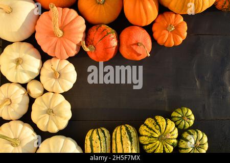 Kürbisse bunte Sorten Grenze. Kürbisse und Kürbisse auf schwarzem Holzhintergrund. Stockfoto