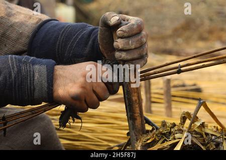 9. November 2021, srinagar, jammu und kashmir, indien: Am Stadtrand von Srinagar schälen Dorfbewohner aus Kaschmir die Haut von Korbstäben. Wicker wird für die Herstellung von traditionellen Feuerstellen namens kangri in kaschmir verwendet. Kashmiris verwenden diese traditionellen Feuerköpfe, um sich in den schweren Wintermonaten, wenn die Temperatur auf minus 20 abgeht, warm zu halten. Kangri besteht aus Ton und Zweigen, in denen heiße Kohle gehalten wird. (Bild: © Sajad HameedZUMA Press Wire) Stockfoto