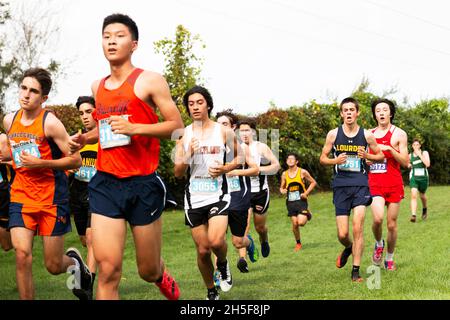 Wappingers Falls, New York, USA - 16. Oktober 2021: Nahaufnahme einer Gruppe von Jungen aus verschiedenen Teams, die während eines 5K cros auf einem Grasfeld bergab laufen Stockfoto