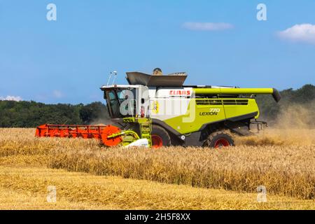 England, Hampshire, Kombinieren Sie Harvester Harvesting Wheat auf Feldern in der Nähe von Winchester Stockfoto