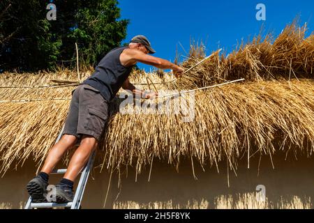England, Hampshire, Test Valley, Stockbridge, Longstock, Traditioneller Thatcher Paul Williams bei der Arbeit Stockfoto