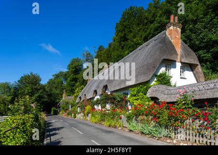 England, Hampshire, Test Valley, Wherwell, traditionelles Reetgedeckten Country House und Empty Road Stockfoto