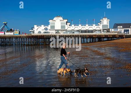 England, Hampshire, Portsmouth, Southsea, Woman Walking Dogs on Beach at Low Tide vor dem Southsea Pier Stockfoto