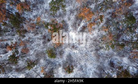 Winterlandschaft von hoch oben. Drohnenansicht Fotografie. Stockfoto