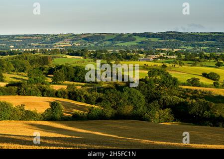 Sonnendurchflutete Wharfedale-Landschaft (breites grünes Tal, Hanglage, Ackerbau, goldene Weizenfelder, Eisenbahnbrücke) - North Yorkshire England Großbritannien. Stockfoto