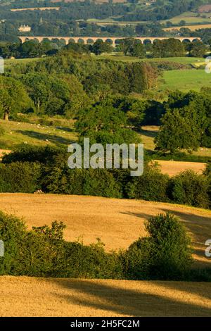 Malerische sonnige Landschaft Wharfedale Blick (breites grünes Tal, Ackerland Schafe, goldene Stoppeln, sonnenbeschienene Viadukt Torbögen) - North Yorkshire, England, Großbritannien. Stockfoto