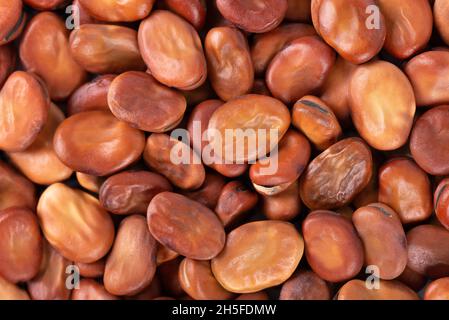 Hintergrund für breite Bohnen. Trockene Fava-Bohnen. Draufsicht. Stockfoto