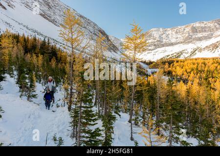 Frau und Kind wandern auf einem verschneiten Berg durch Lärchen Stockfoto