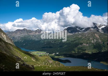 Blick von Grevasalvas auf Sils Maria in der Perle. Sils im Engadin/Segl am 02.08.21. *** Ortsüberschrift *** die Alpen, Berge, Berglandschaft, t Stockfoto