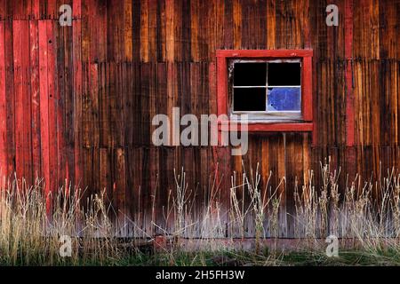 Old Red Barn Holzwandfenster Rahmen mit Glashintergrund strukturiert mit mehreren Nägeln Stockfoto