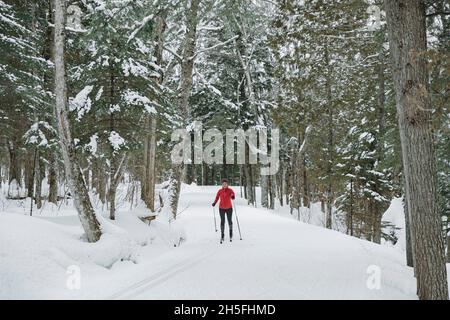 Skilanglauf Klassischer Stil Nordisches Skifahren im Wald. Frau im Winter macht Spaß Wintersport im Schnee auf Langlauf in Stockfoto