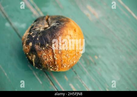 Fauler Apfel auf einer Holzoberfläche. Der Apfel ist von Schorf-Sporen betroffen. Pilzkrankheiten von Obstbäumen im Garten. Schorf wirkt sich auf die Blätter und Frui Stockfoto