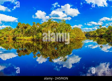 Wolken spiegeln sich im ruhigen, blauen Myakka-Fluss im Sleeping Turtles Preserve in Venice, Florida, USA Stockfoto