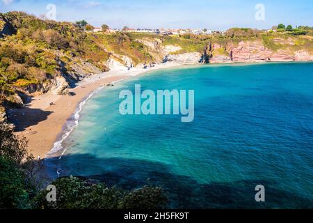 Herbstlicher Blick über die St. Mary's Bay in Brixham, Süd-Devon, vom South West Coast Path aus. Stockfoto