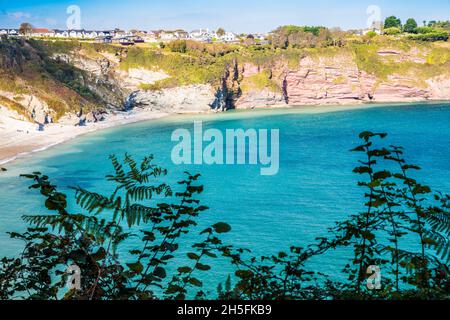 Herbstlicher Blick über die St. Mary's Bay in Brixham, Süd-Devon, vom South West Coast Path aus. Stockfoto