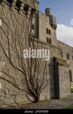 Penrhyn Castle, ein Landhaus in einem ehemaligen normannischen und mittelalterlichen Schloss, Llandygai, Bangor, Gwynedd, Nordwales, VEREINIGTES KÖNIGREICH Stockfoto