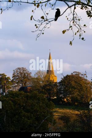 Sonnenuntergang über der St. Peters Church Harrold, vom Harrold Country Park, Herbst 2021 Stockfoto