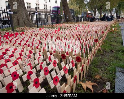 Freiwillige Pflanzen Kreuze und Mohnblumen im Westminster Abbey Field of Remembrance, Ehrungen tragen persönliche Botschaften Stockfoto