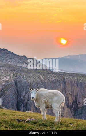 Bergspitze bei Sonnenuntergang Stockfoto