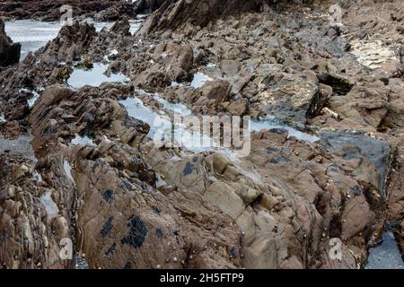 Felsenpools am privaten Tunnelstrand in Ilfracombe North Devon Stockfoto